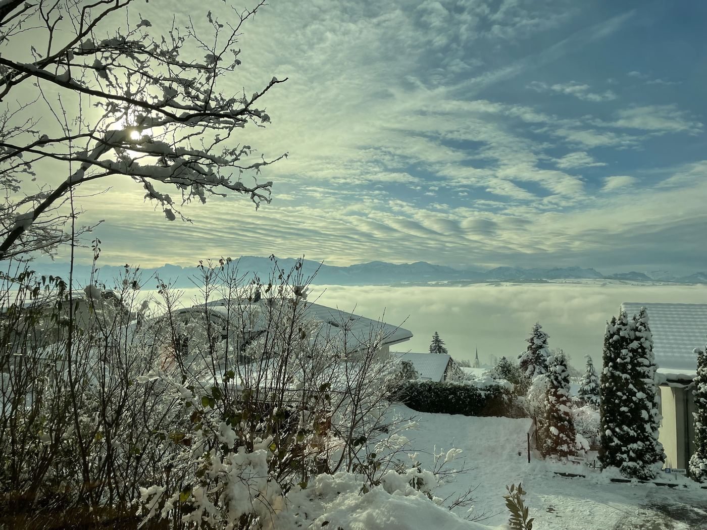 Nebelmeer Winter
